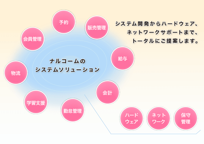 システムソリューション