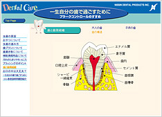 Dental Care　口腔内学習支援ソフトウェア